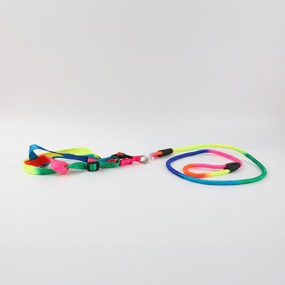 Set de Correa y Pechera para Mascota Multicolor