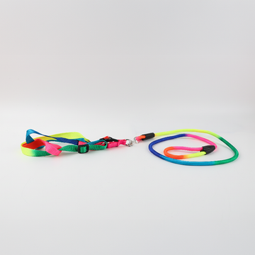 Set de Correa y Pechera para Mascota Multicolor