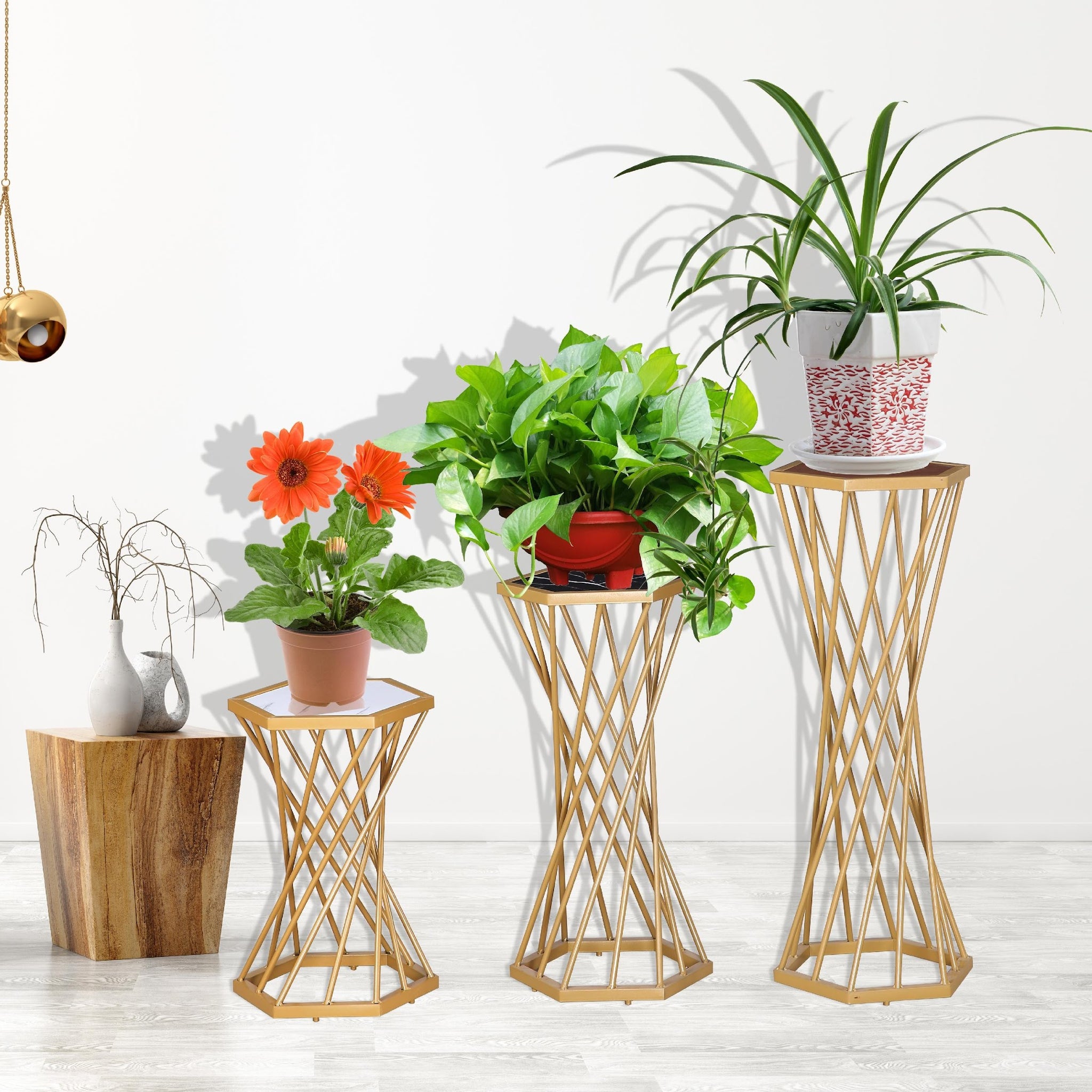 Soporte para Plantas Hexagonal