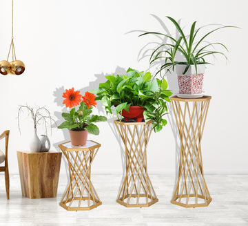 Soporte para Plantas Hexagonal