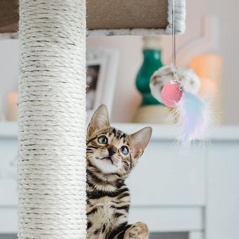 Juguete Multiusos para Gato con Láser