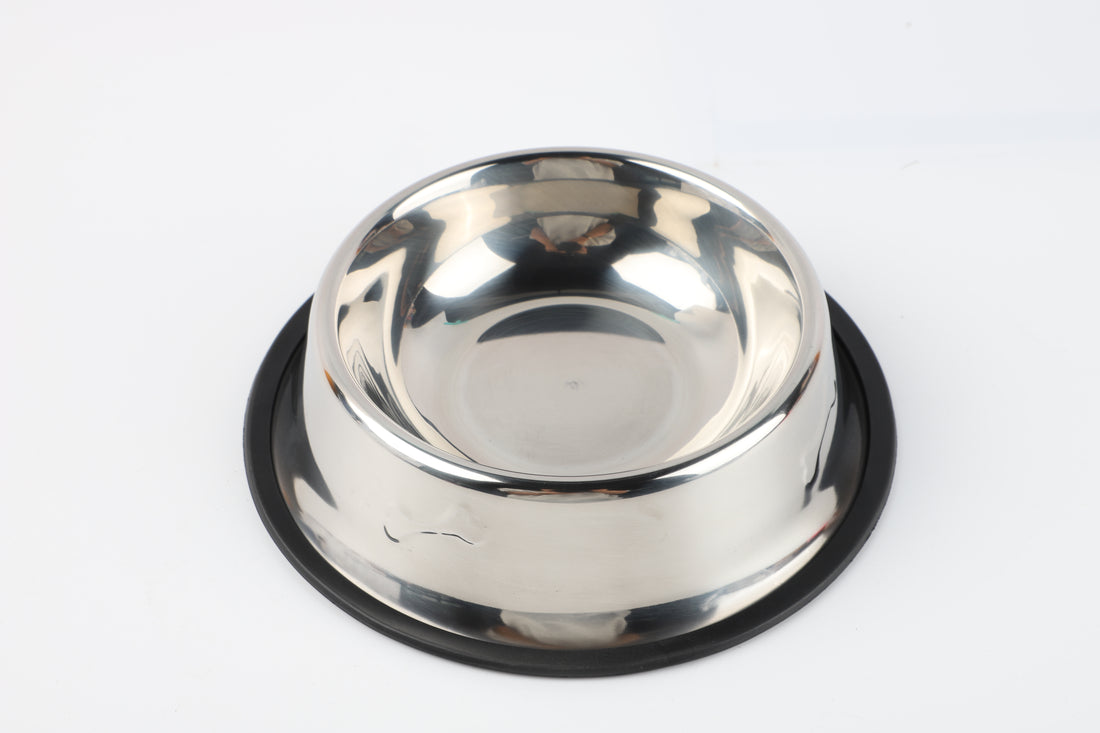 Plato Antideslizante para Mascota